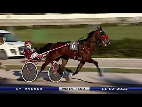 Aversa trotto 11 Febbraio 2023 - 5° Corsa
