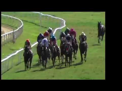 BTC: 2018 Sandy Lane Gold Cup - Race 7