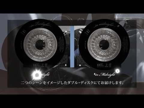 URBAN NIGHT CRUISE : LOUNGE MUSIC “In a gentle time” Compiled by TSUTAYA TOKYO ROPPONG