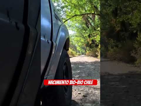 Nacimiento bio-bio chile