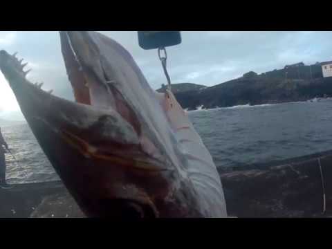 Bicuda 8,610kg by Cesar Ferreira - Action cam