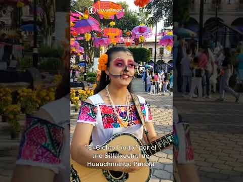 Escuchen el Cielito Lindo con el Trío Sitlalxochitl de Huauchinango Puebla