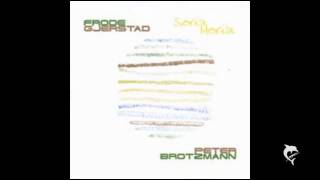 Frode Gjerstad & Peter Brötzmann - Riaso Riamo