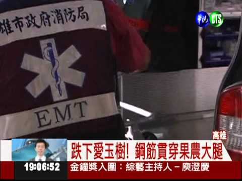 採愛玉籽踩空! 鋼筋刺穿果農腿