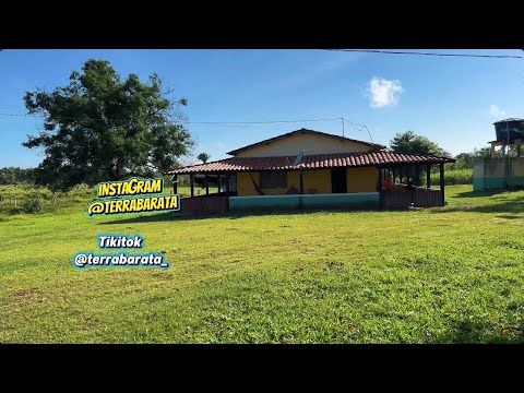 FAZENDA NA BEIRA DO ASFALTO TODA PLANA 