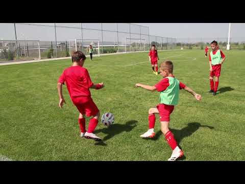 AFRR 2013 - AFRR 2012 2-5