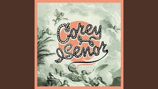 Another Mourning Dove