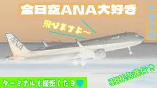 【飛行機】全日空ANA大好き 羽田空港行きが離陸します❢❢