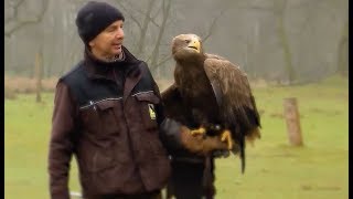 Die Falknerei im Wildpark Eekholt