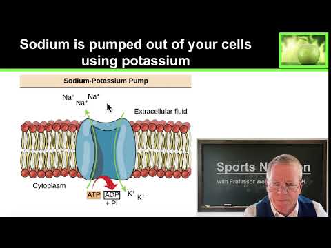 3.4 Major Minerals for Athletes Sodium and Potassium thumbnail