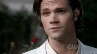 Sam and Dean - Autumn Leaves Revisited