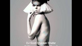 DJ Scott Shocker Shafer - I Wanna Bang Lady Gaga
