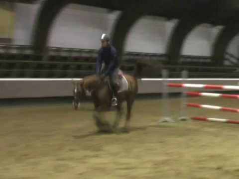 Kat. 27, Querelle von Quidams Rubin - Verkaufstag auf dem Dobrock 17. Mai 2014