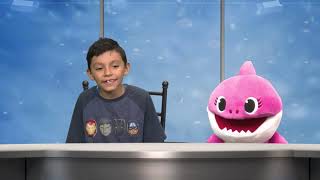 BGCTV08 OCEAN ANIMALS