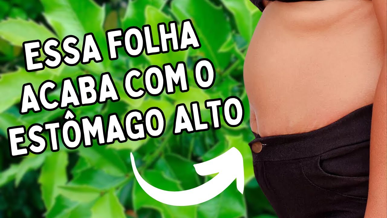 OS BENEFÍCIOS DO CHÁ DE ESPINHEIRA | Dr Dayan Siebra