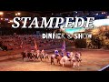 Dolly Parton S STAMPEDE Dinner Attraction 2021 Pigeon Forge Tennessee