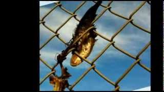 Kim Bridgford, Bully Pulpit