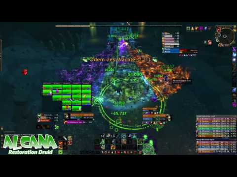 THE ROYALS vs. Guarm HC