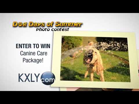 download lagu mp3 mp4 Dog Days Of Summer Photo Contest, download lagu Dog Days Of Summer Photo Contest gratis, unduh video klip Dog Days Of Summer Photo Contest