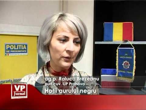Hotii aurului negru