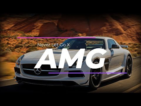 Never Let Go (Slowed) X Mercedes Benz SLS AMG 🇩🇪