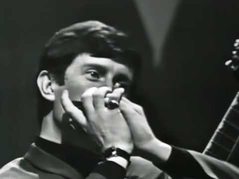 NEW 📀 Laugh Laugh - The Beau Brummels "Live" {Stereo} 1964