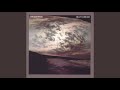 Spanish Moss - A Sound Portrait: Savannah the Serene - Billy Cobham