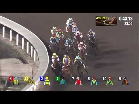 30/3/2022 (541) Flying Dragon - Z Purton