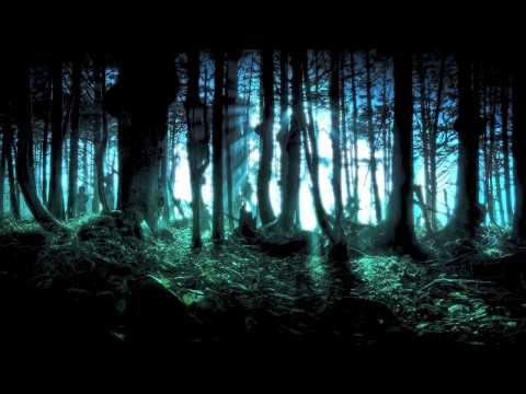 DJ FlowWolf - Where The Wild Things Are