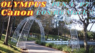 Canon EOS R6 MarkⅡ/ OLYMPUS PEN E-P7　  KK Feel-good #87