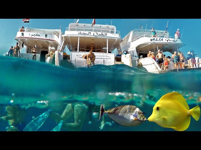 Egypt Red sea corals snorkeling. Yachts & fish in Hurghada. 4K GoPro4black