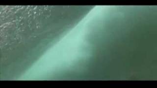 Anna Waronker - California Fade (Official Music Video)