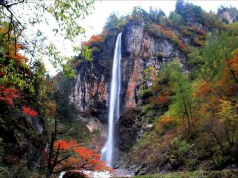 Ganzhuannanguanfishventoluzsombra