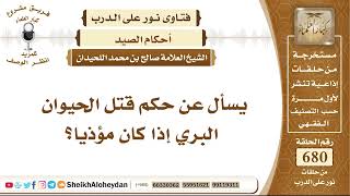 صورة 8380 -  حكم قتل الحيوان البري إذا كان مؤذيا - نور على الدرب