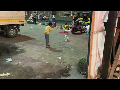Reyansh playing with street dog Tommy..!!02