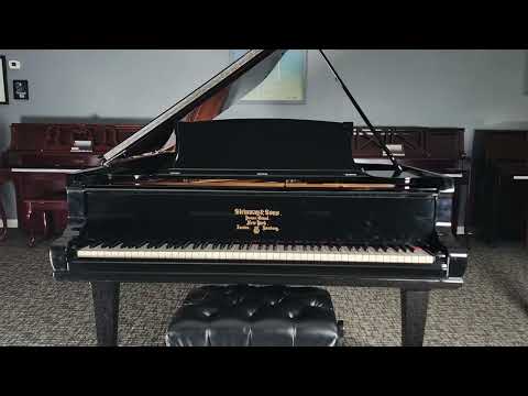 1901 Steinway B Grand Piano Rebuilt by Steinway in 1998 * Free 1st floor Delivery in NJ!* image 22