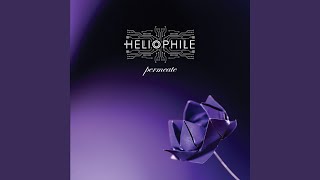 Heliophile - Echo Chamber video