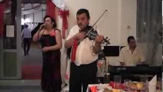 preview picture of video 'live vioara maestru profesor Teodor Dutescu ( Duta de la Motru ) nunta Motru Gorj 2013'
