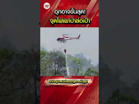 แสบทะลุทรวง! เผาป่าลวงตาลอบขุดทองเถื่อน รัวปืนขู่เจ้าหน้าที่หยามกฎหมายขั้นสุด!
