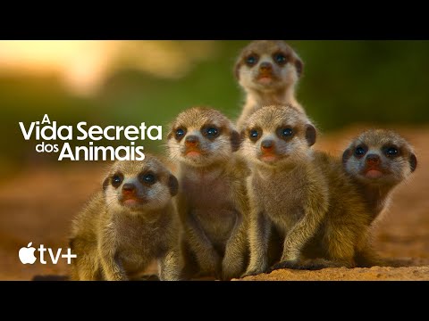 Trailer de The Secret Lives of Animals (2024)