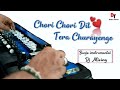 Chori Chori Dil Tera Banjo Cover Phool Aur Angaar चोरी चोरी दिल तेरा �