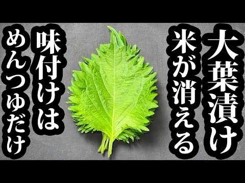 やみつき大葉漬け