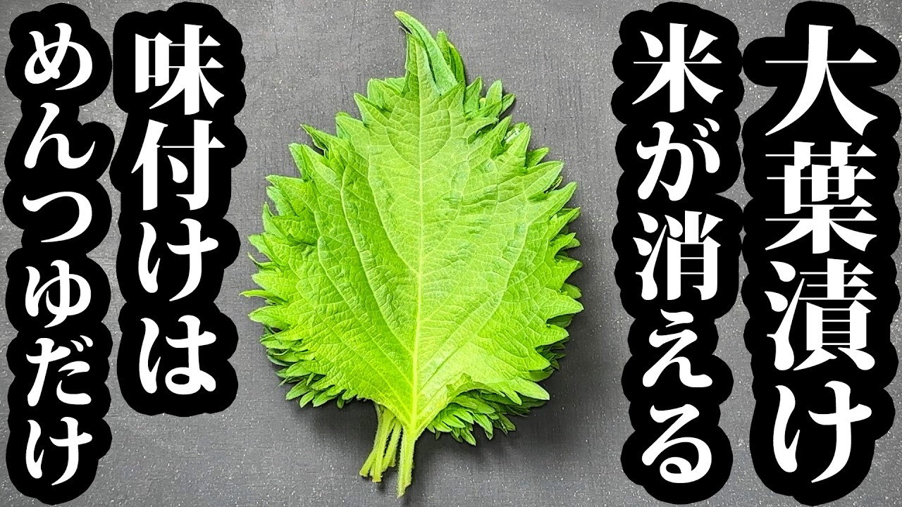 やみつき大葉漬け