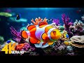 Aquarium 4K VIDEO (ULTRA HD) 🐠 Beautiful Coral Reef Fish - Relaxing Sleep Meditation Music #76