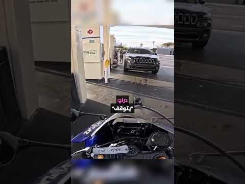 كلب دراج يظهر فجأة من العدم!