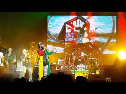 Monkey Roots - Evolución