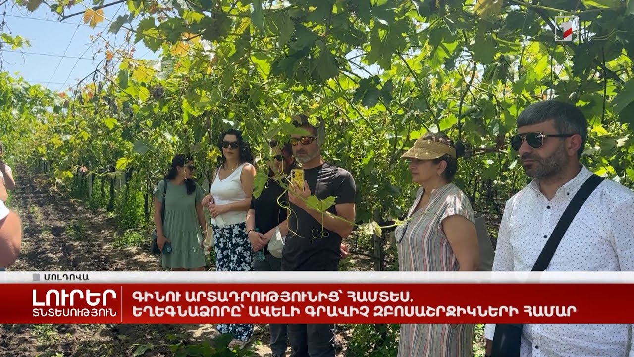 Գինու արտադրությունից՝ համտես. Եղեգնաձորը՝ ավելի գրավիչ զբոսաշրջիկների համար