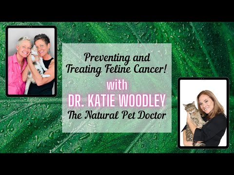 Feline Cancer with The Natural Pet Doctor | Two Crazy Cat Ladies