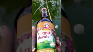 Download lagu story wa anggur merah mp3 Download lagu story wa anggur merah mp3