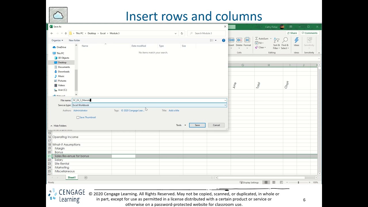 Excel Module 3 Presentation